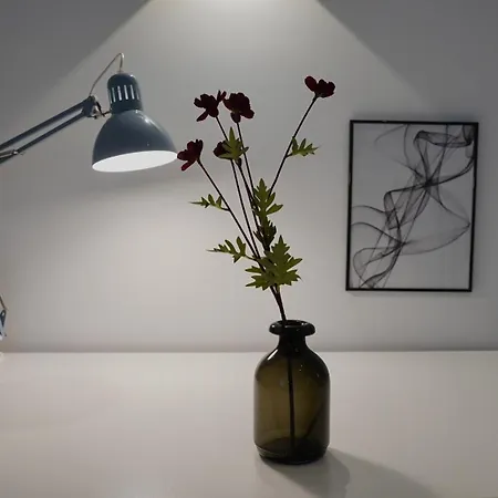 Apartment Modern & Zentral - Naehe Duesseldorf & Koeln *