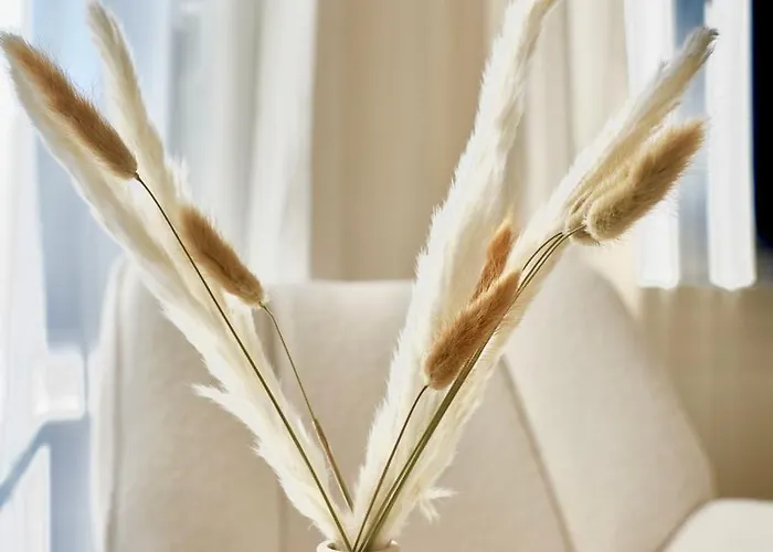 Modern & Zentral - Naehe Duesseldorf & Koeln